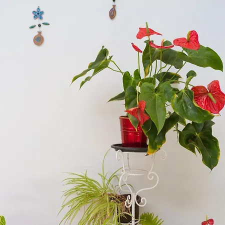 Chalet Agaete Pupe By Canariasgetaway Agaete (Gran Canaria)