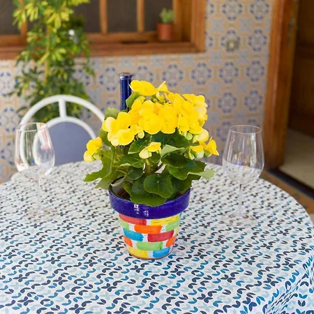 Chalet Agaete Pupe By Canariasgetaway Agaete (Gran Canaria)