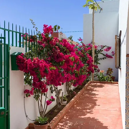 Agaete Pupe By Canariasgetaway Chalet