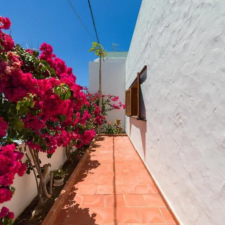 Pupe By Canariasgetaway